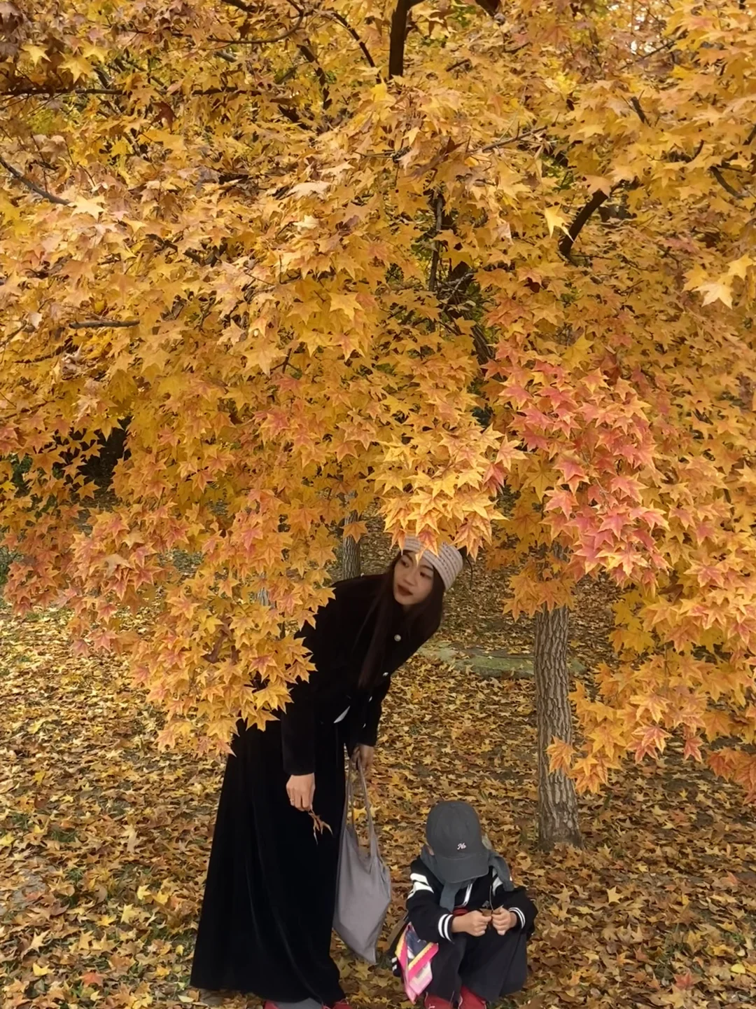 11.8实况！青岛最适合拍人像的枫叶🍁！