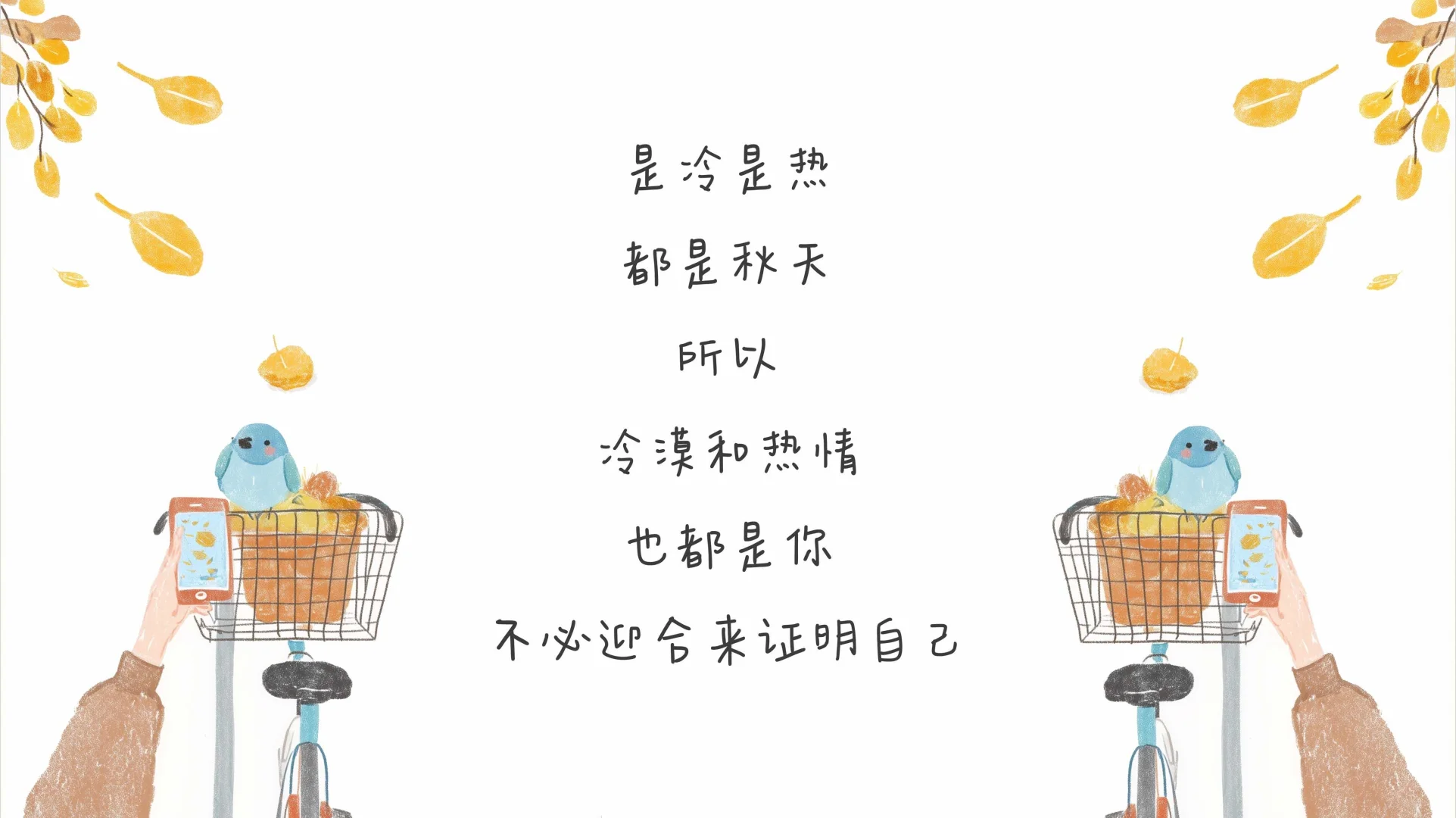 20251110电脑壁纸｜猫和老鼠ipd套图壁纸～