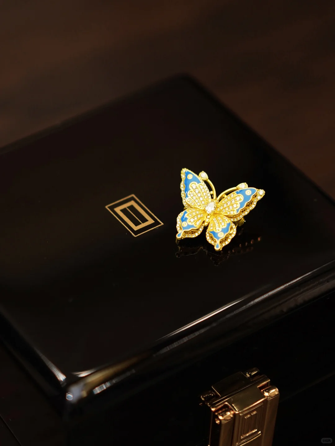 “光明女神”闪蝶-翩然而至的金色梦境✨