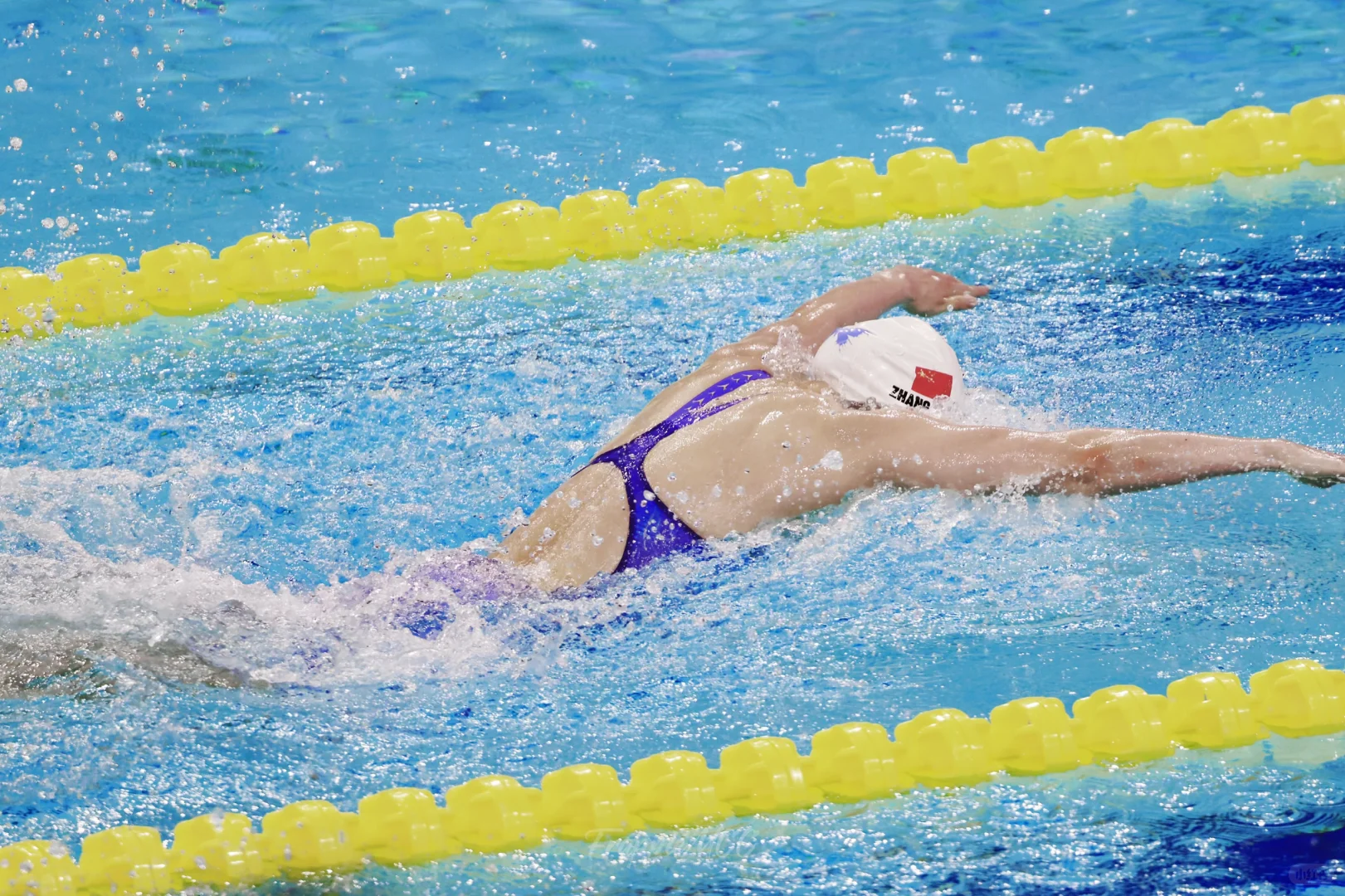 『📸』张雨霏｜蝶后的统治区😎