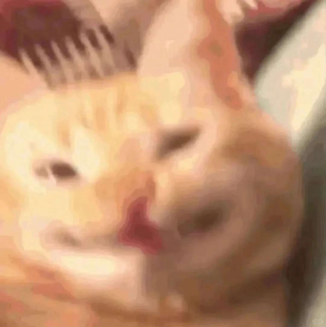 搞怪的贱贱的表情包