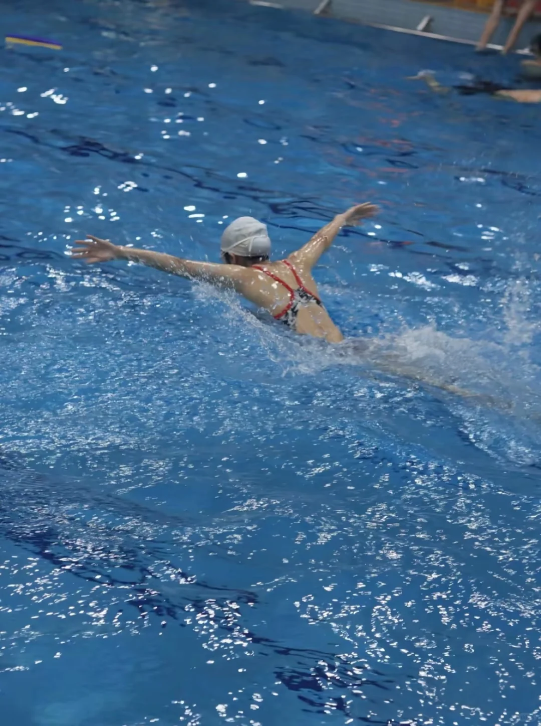 蝶泳真的太美了…