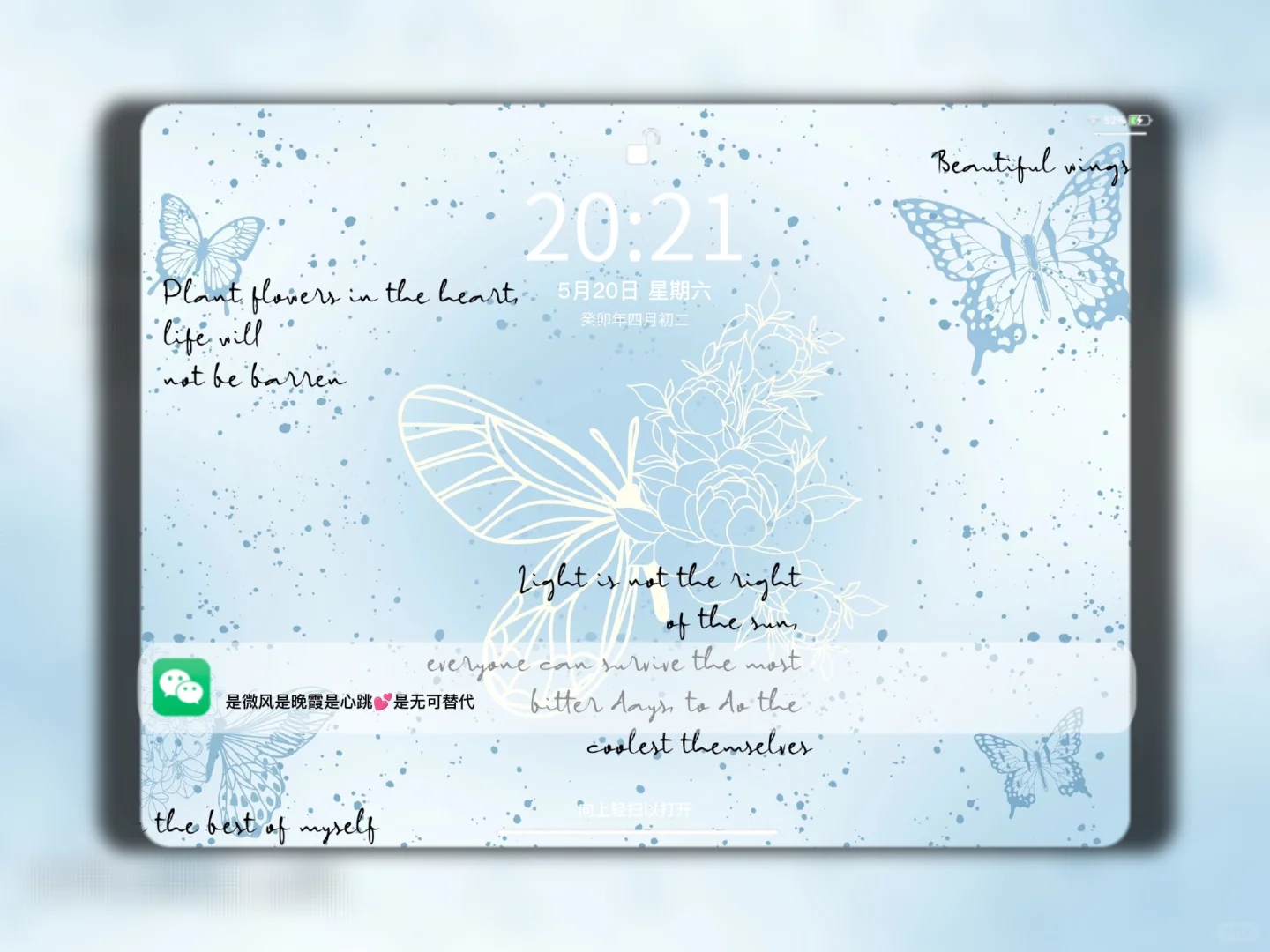 Share | 𝒊𝒑𝒂𝒅壁纸 粉蓝色蝴蝶