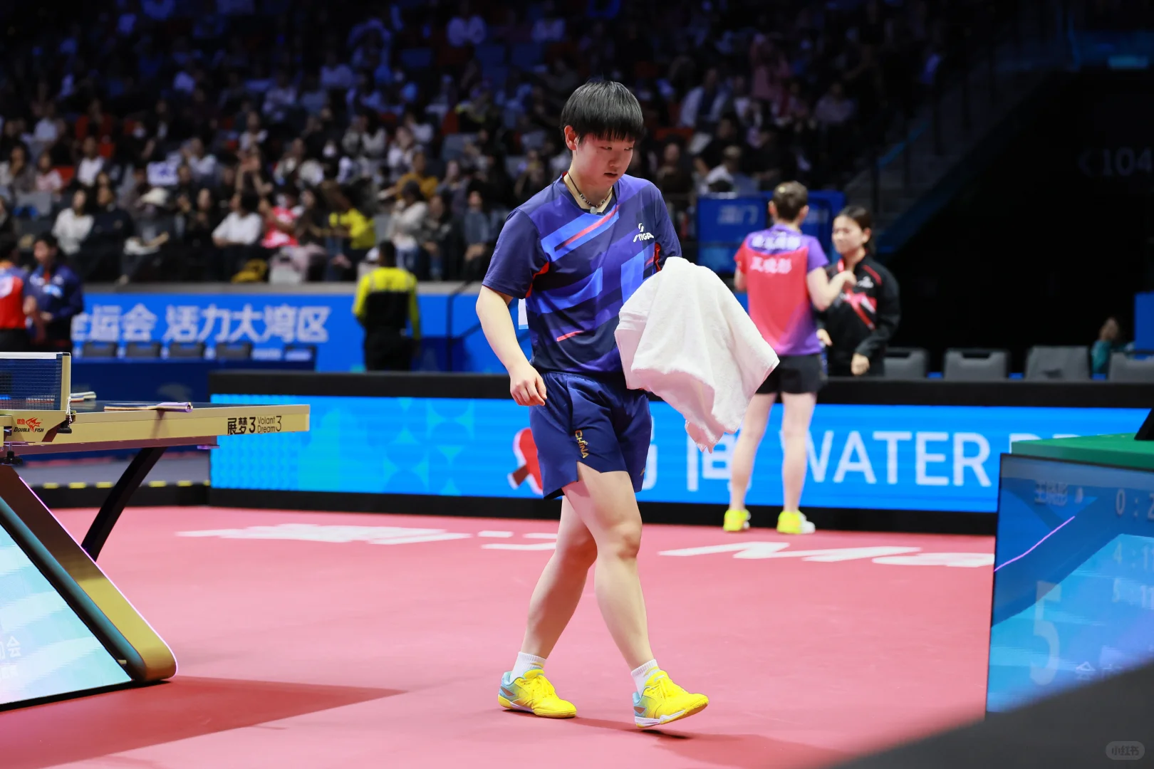 第十五届全国运动会🏓🦈 11.12