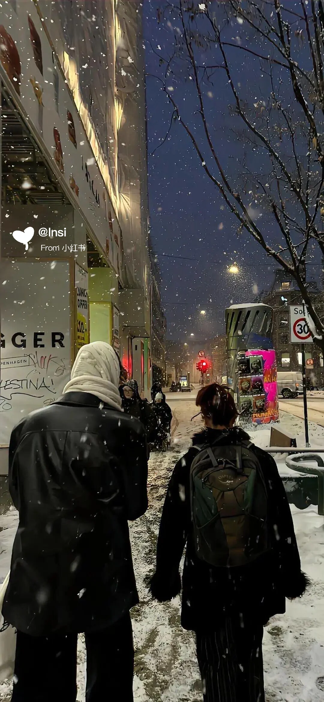 每日壁纸｜❄️❄️❄️ 祝大家11月顺利。