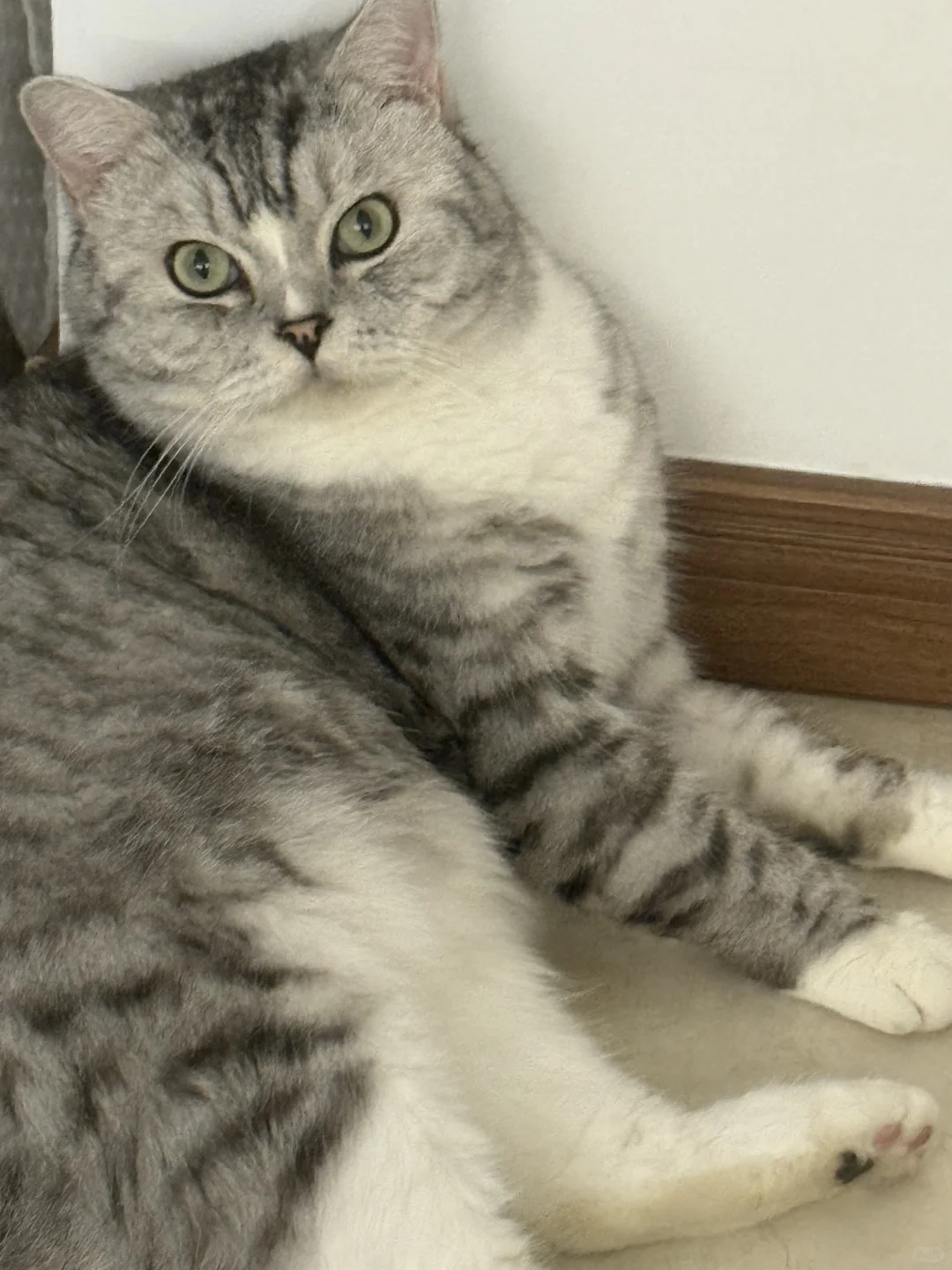 有想做美甲的美少女吗？