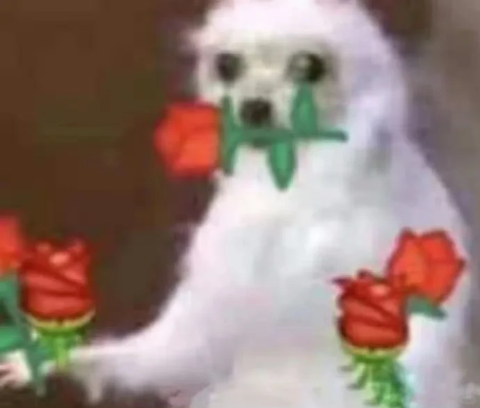 最近爱用的无字表情包