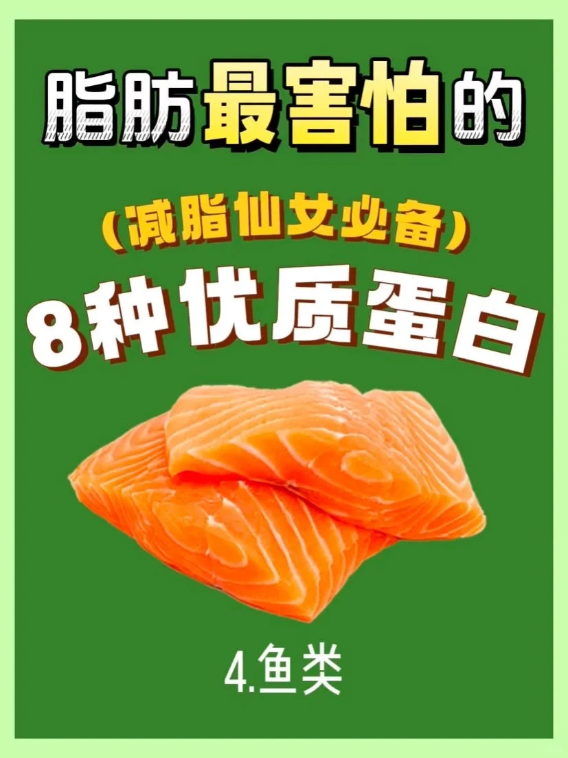 适合减肥期间吃的8种优质蛋白！减肥必看！