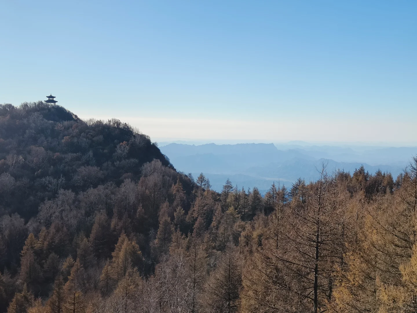 小博美征服白石山