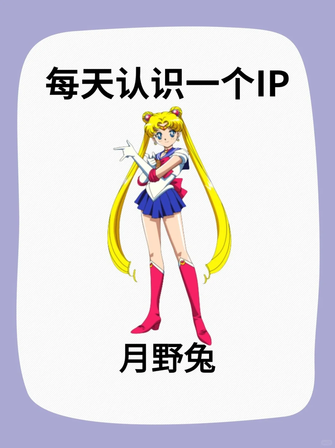 每天认识一个IP－月野兔