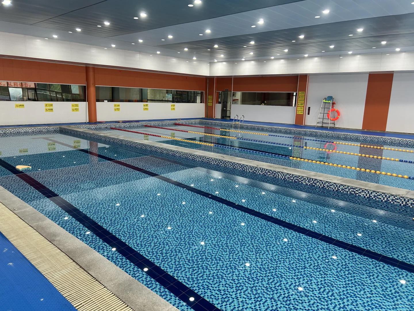 女性必试！游泳真的太香了