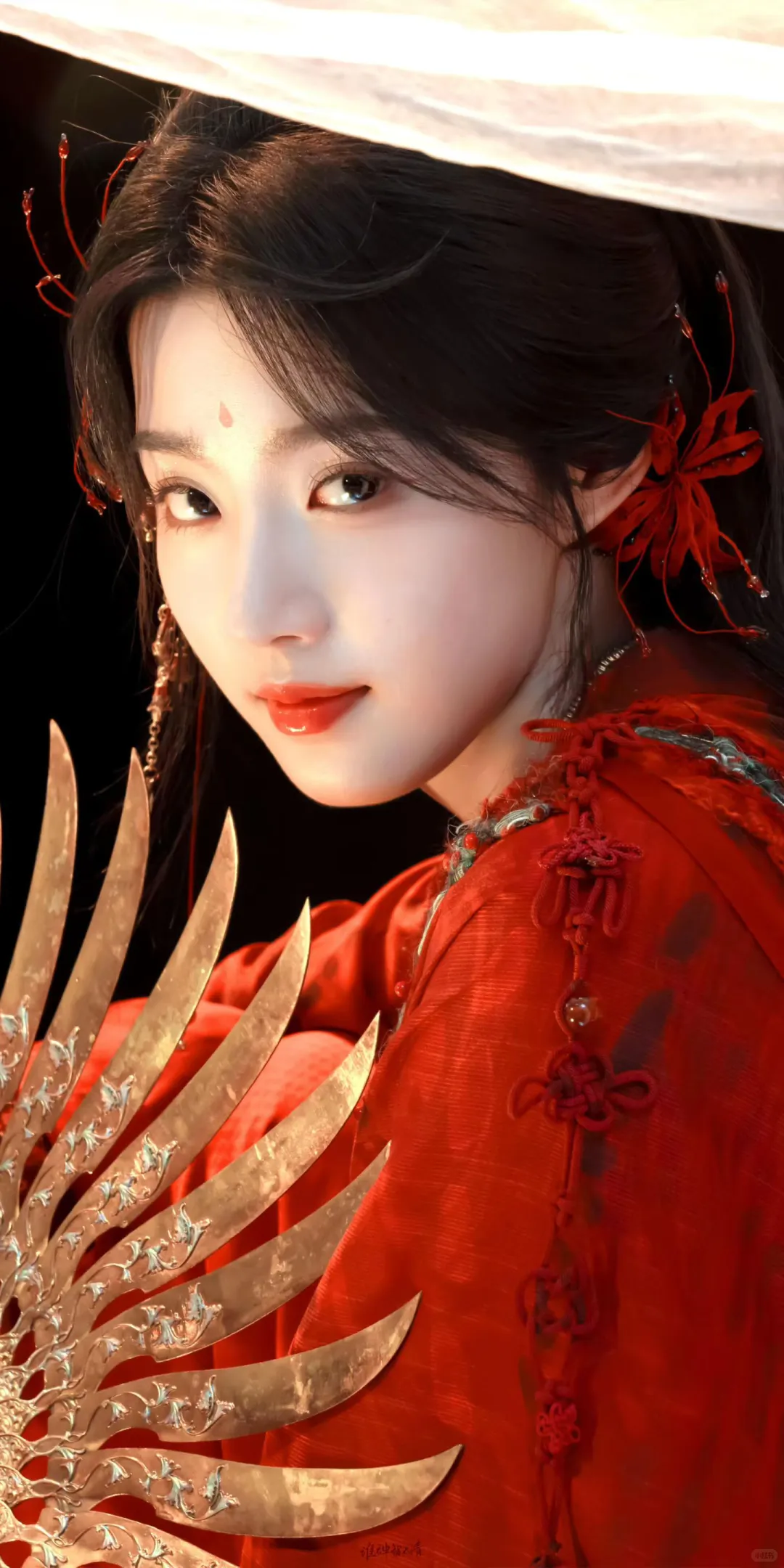 入青云×卢昱晓