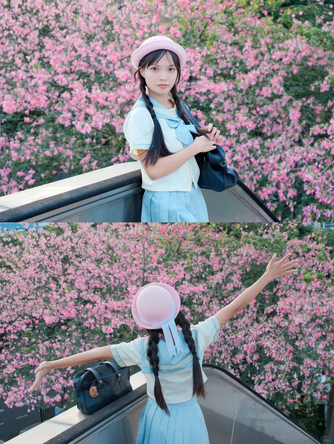 广州的秋天是粉色的🌸