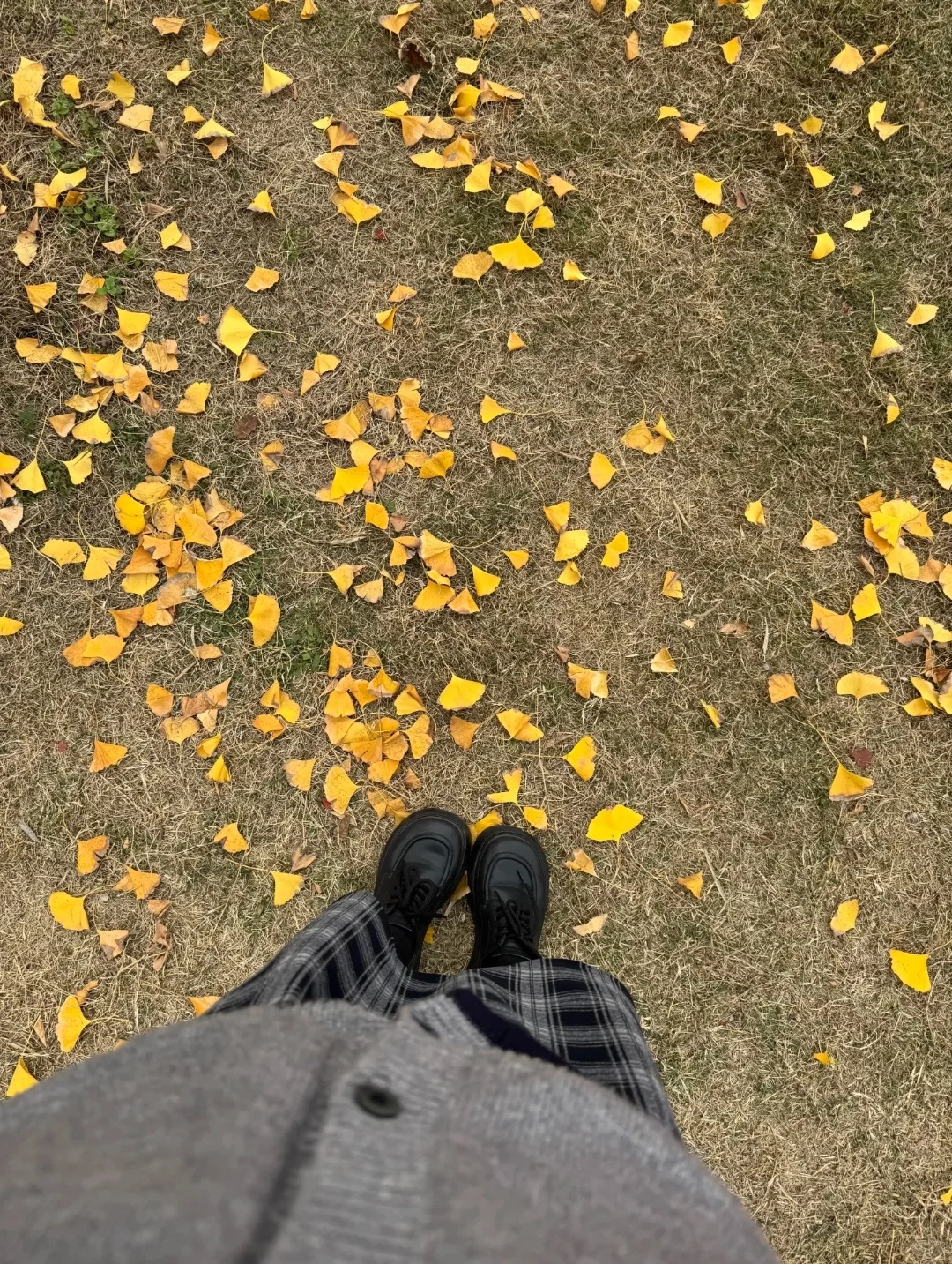 重庆 97 乖乖女相亲自救