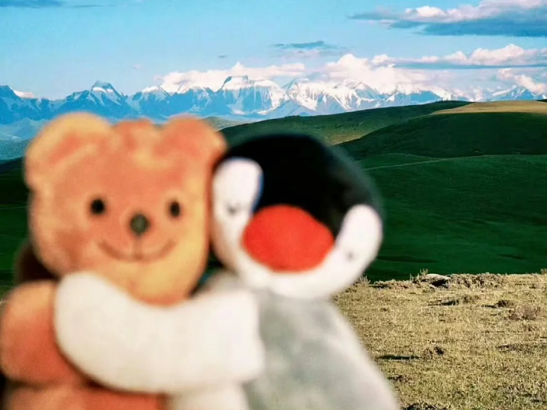 一组氛围感iPad/横屏/电脑壁纸 | 🍀 💓 🕌