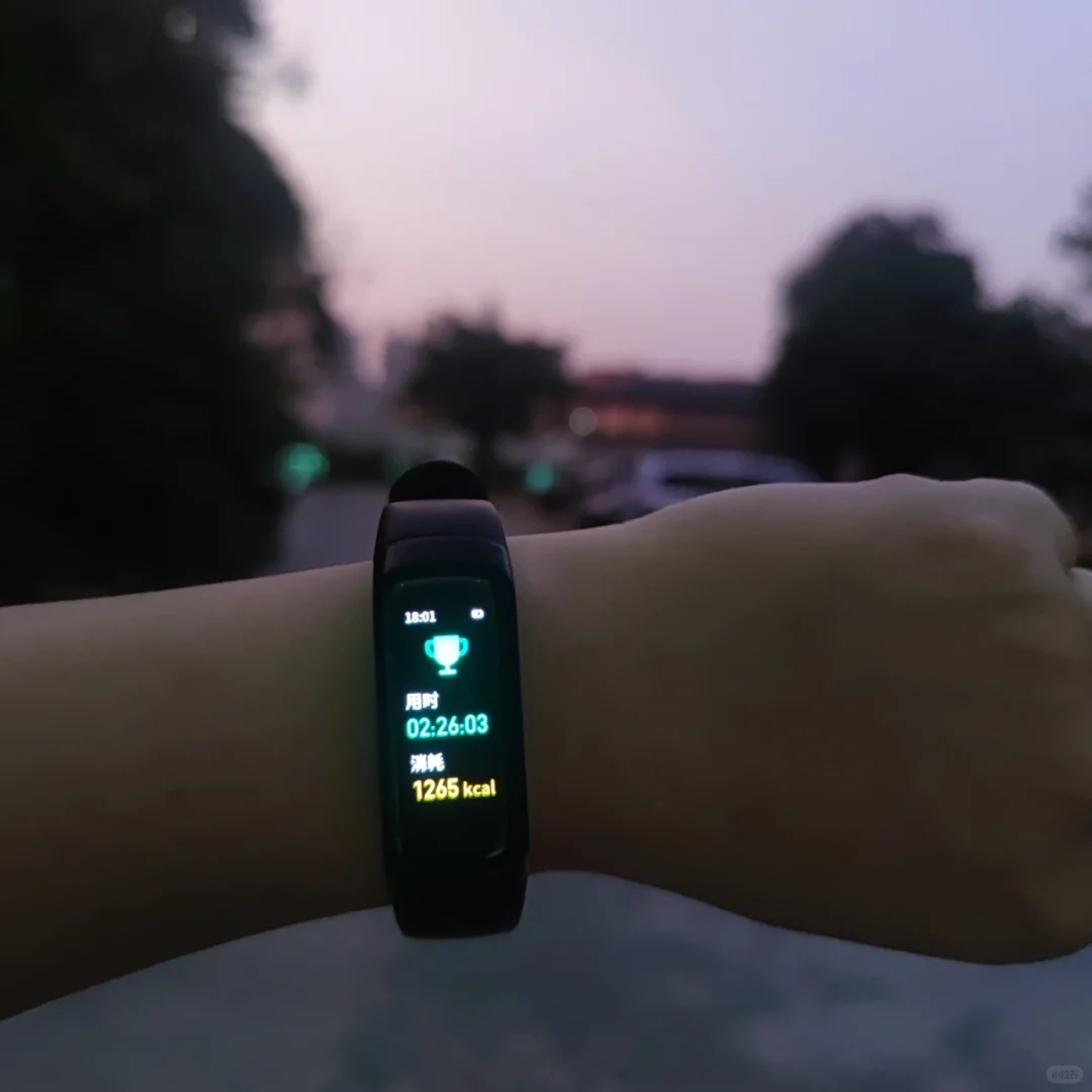 挑战800kcal卡路里第16天🦅(16/50)