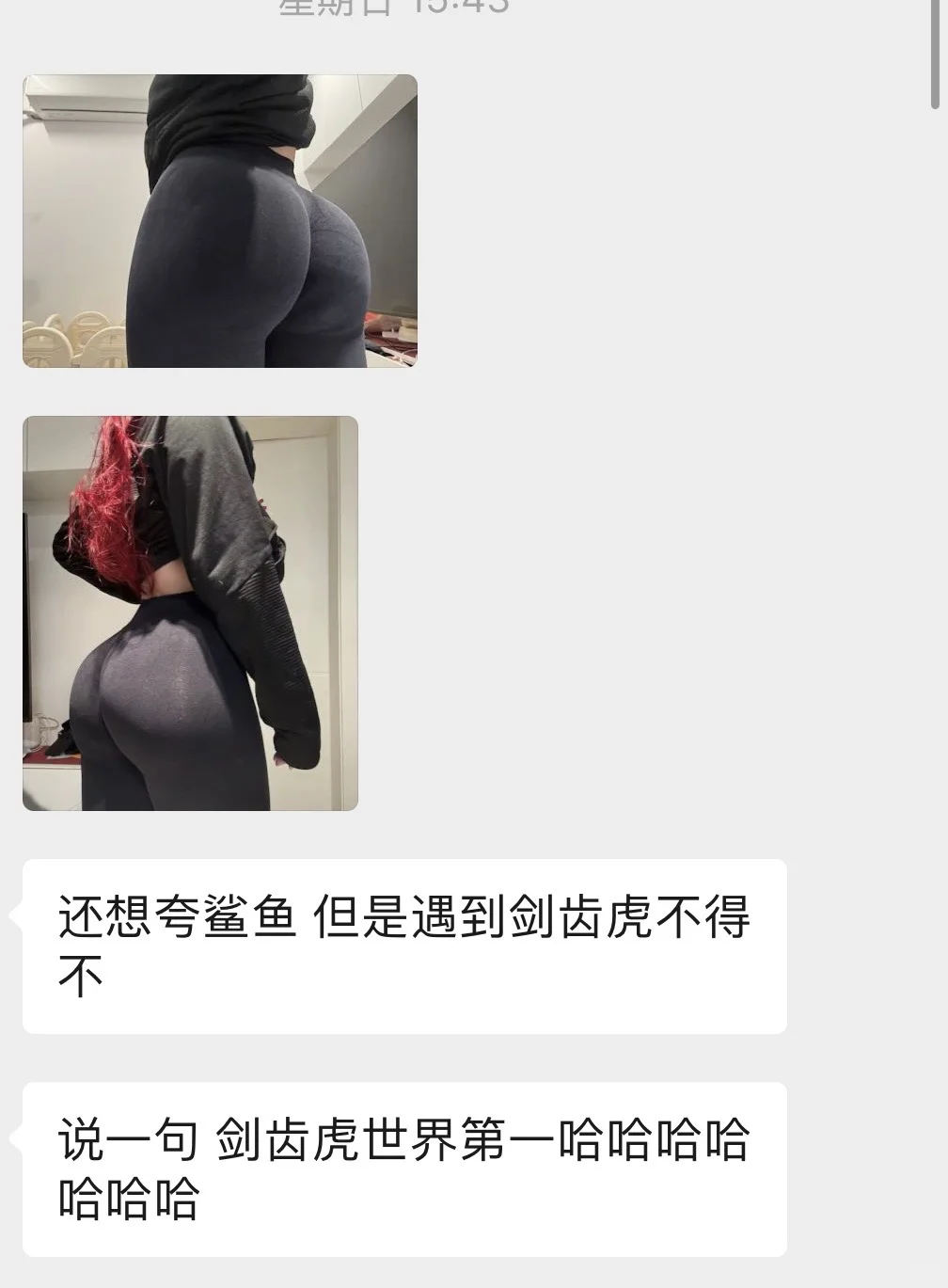 剑齿虎全世界第一！