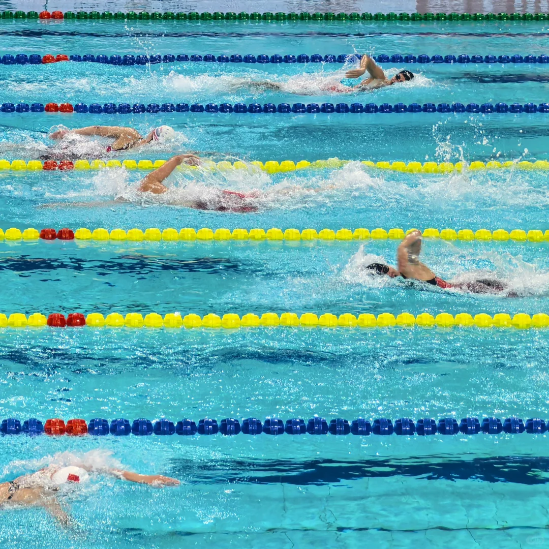 全国游泳冠军赛 我的IP很难不发河北泰华