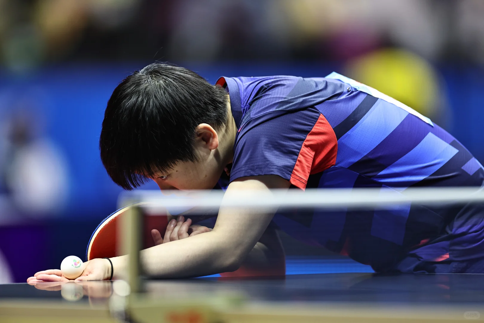 第十五届全国运动会🏓🦈 11.12