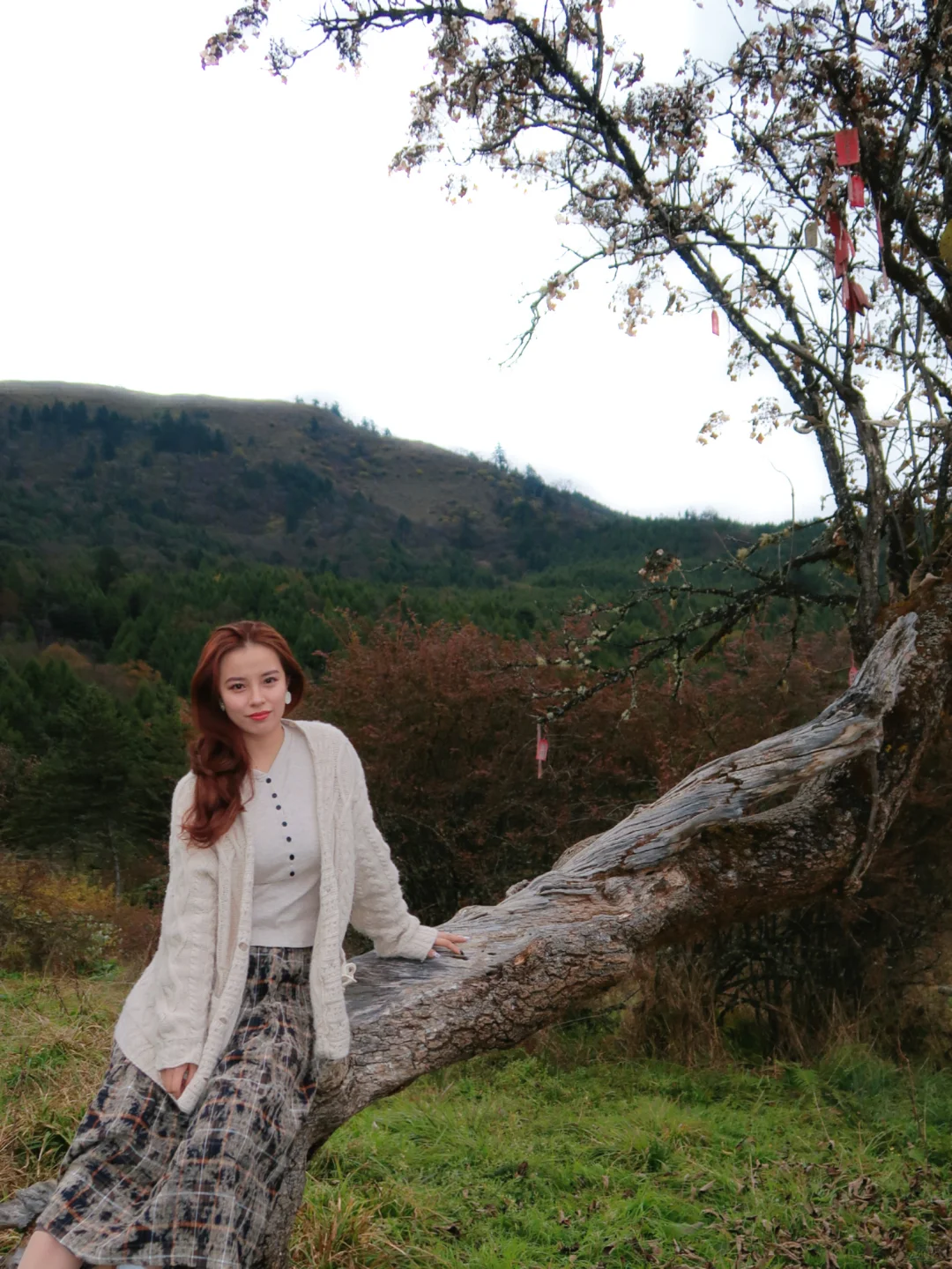 最后一抹秋黄，是写给冬天的序章。