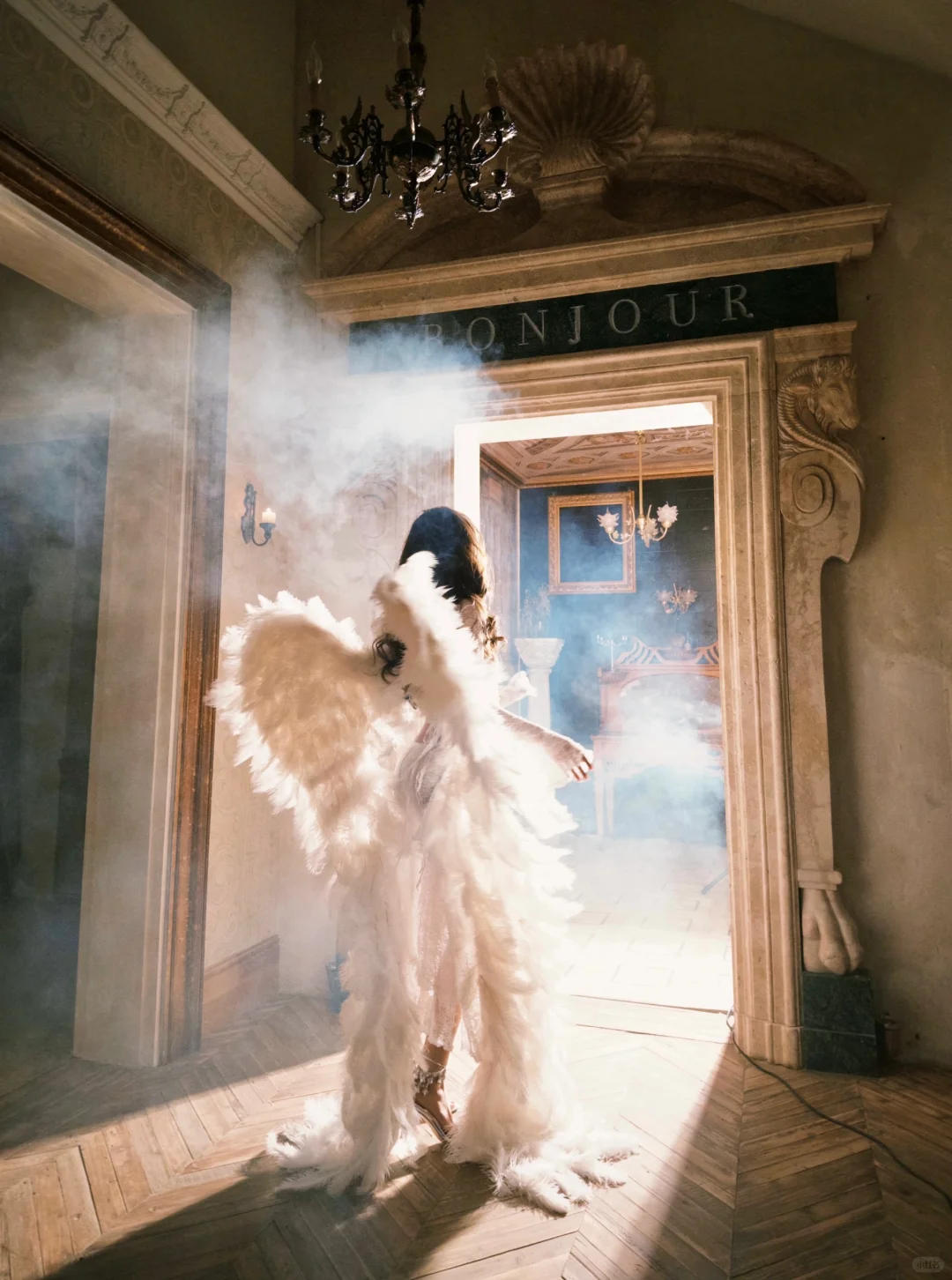 被光吻过的羽翼