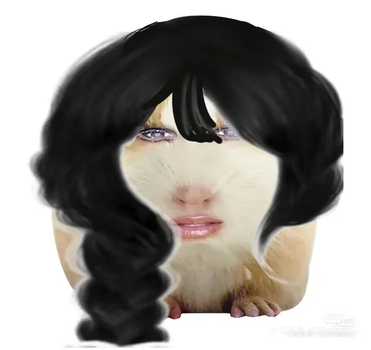 猪精图片第一期