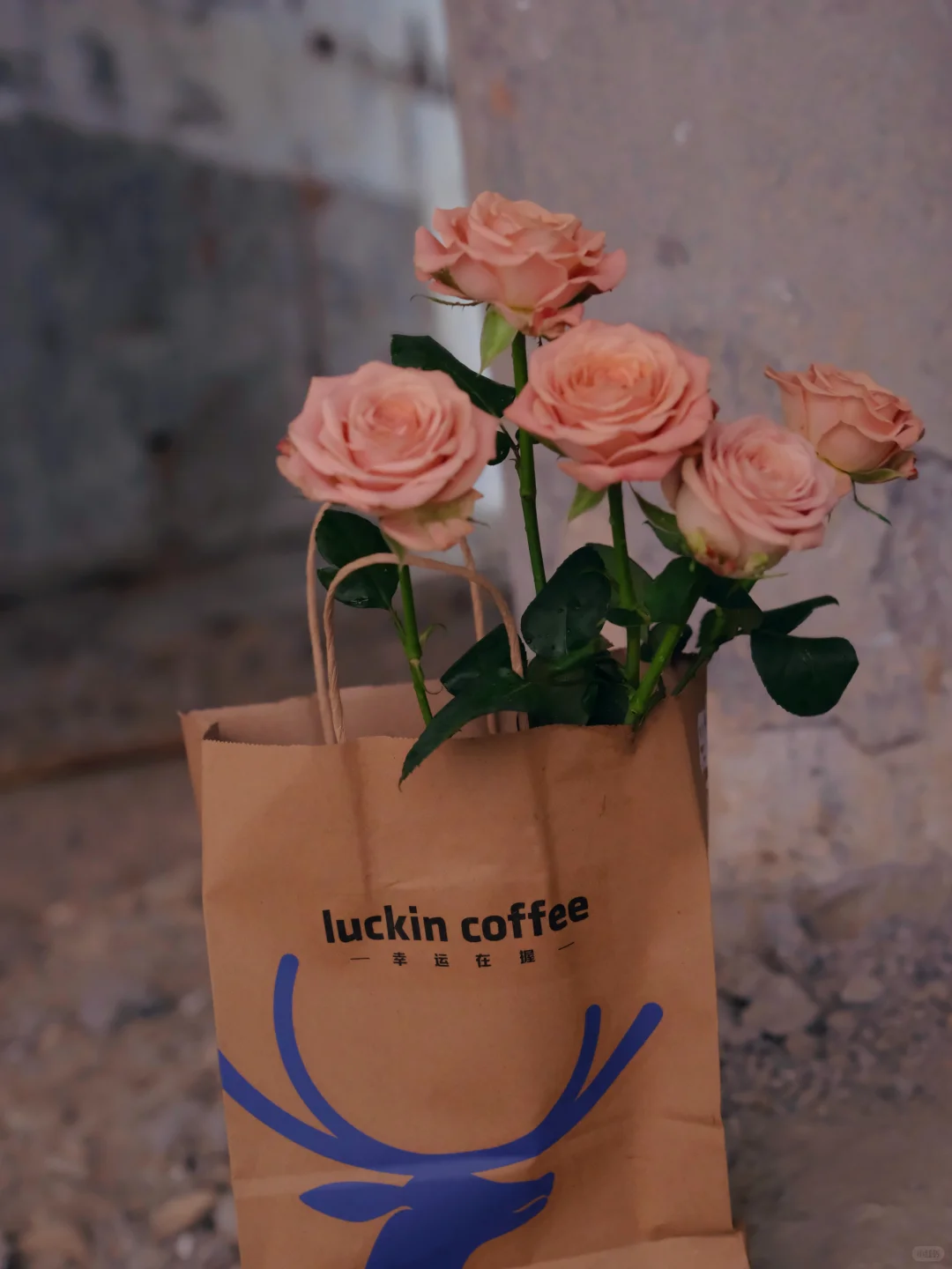 属于你的法式复古氛围感🌸