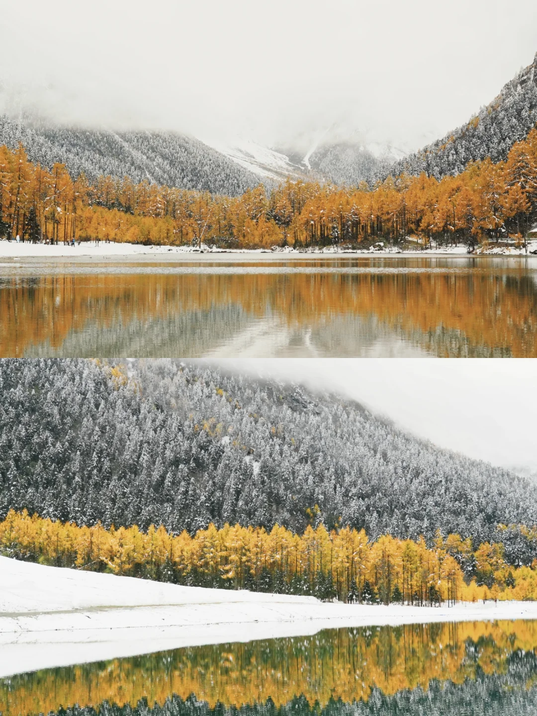 毕棚沟彩林此刻封神🍁沉醉其中无法自拔?