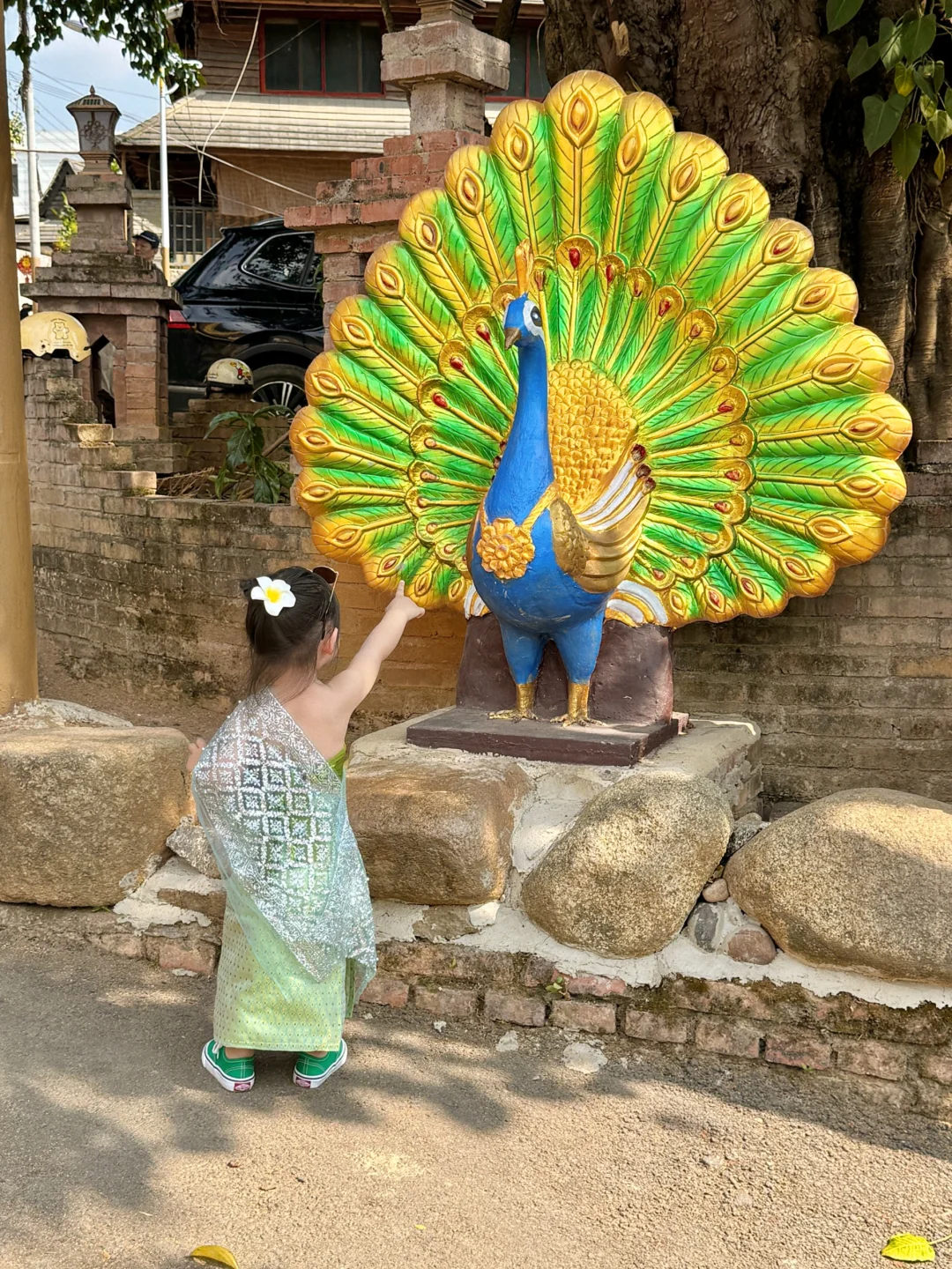 ♪ 今日小傣妹🦚
