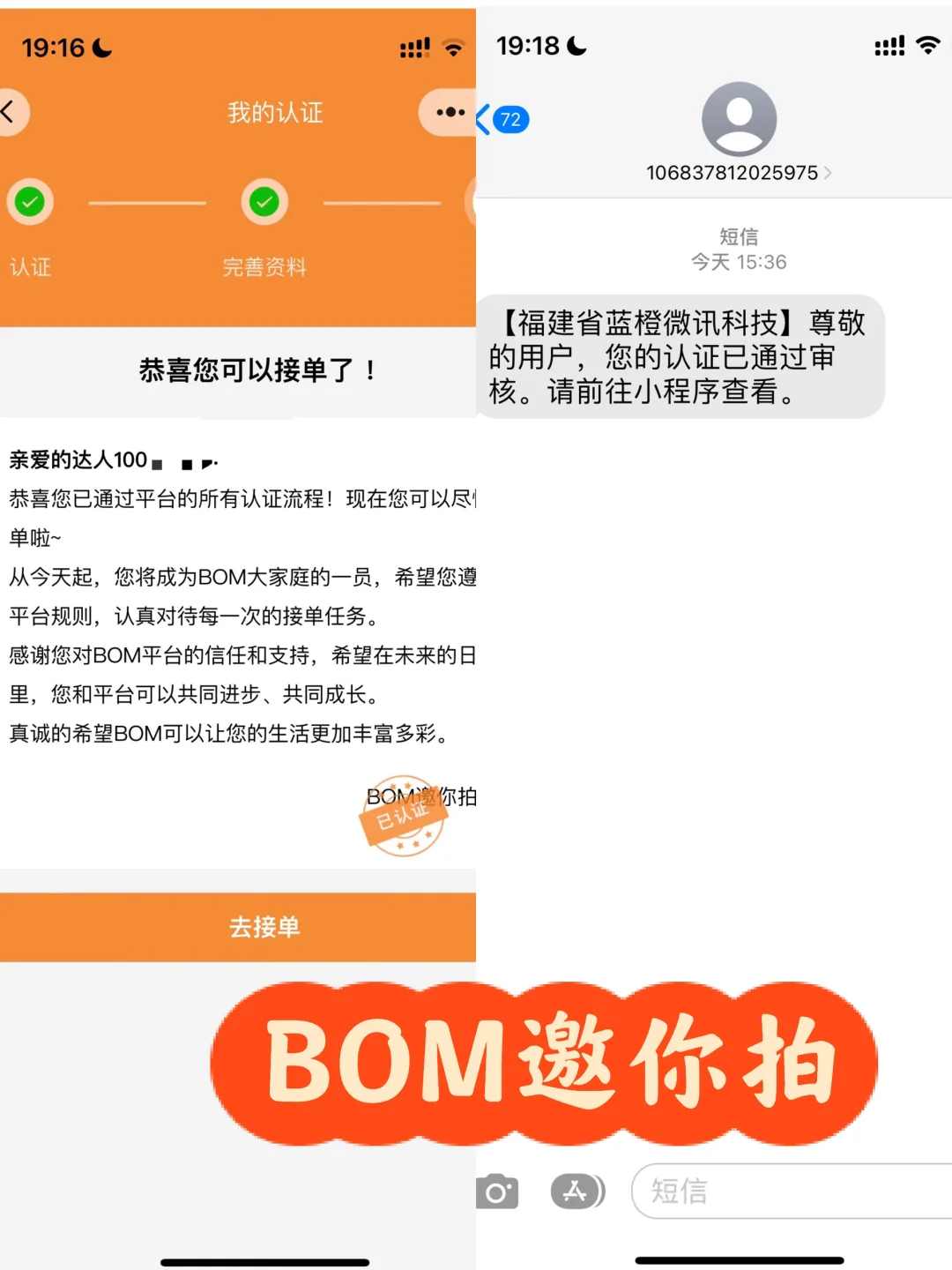 猫当模特今天提交了七次都不过😭为啥啊