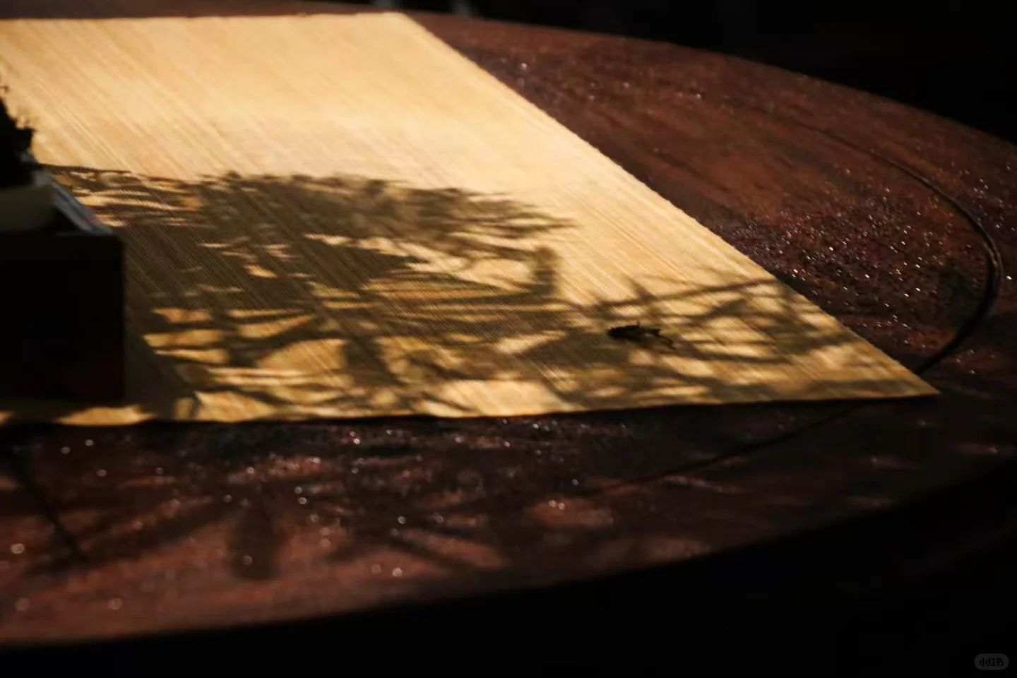 狮子林菊花展｜最是人间富贵花