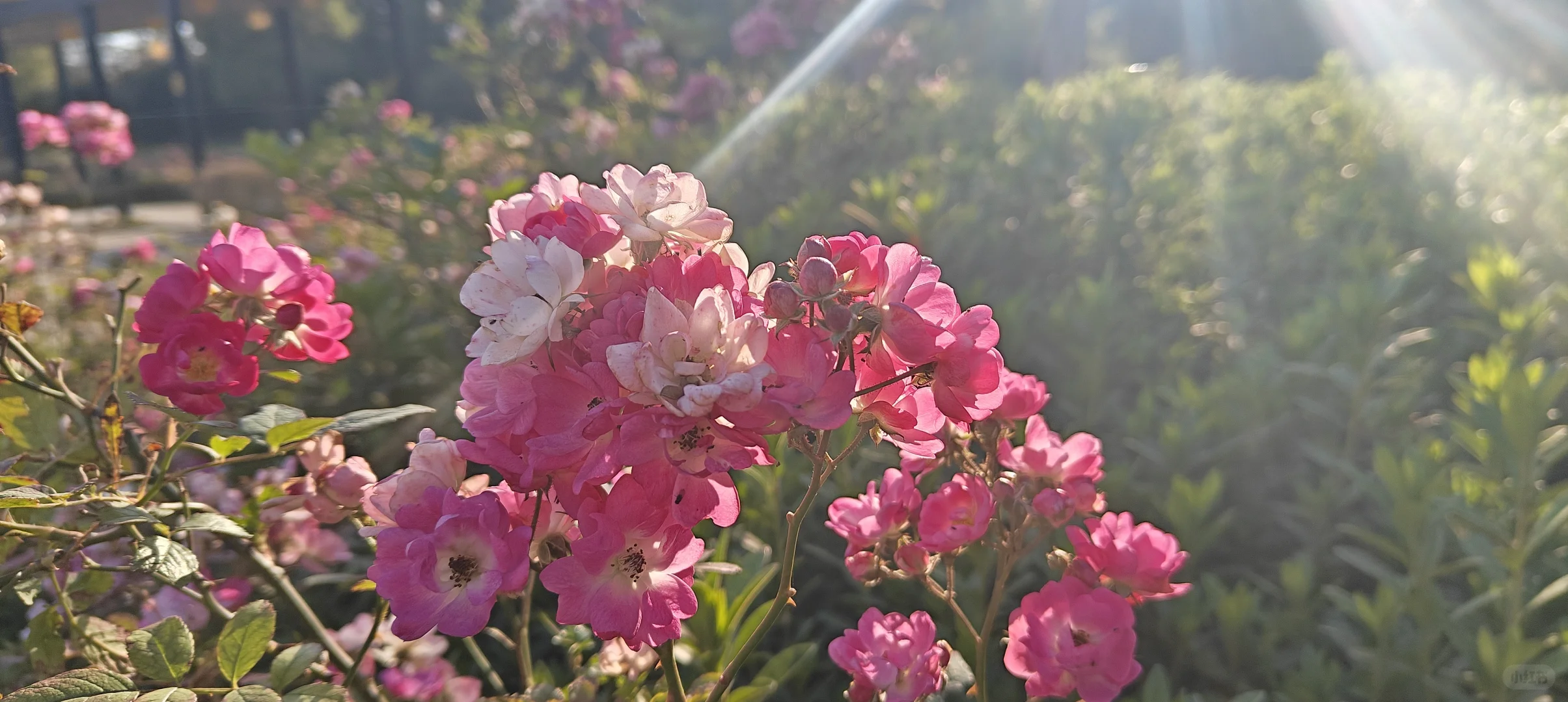 《写给三十岁的自己》