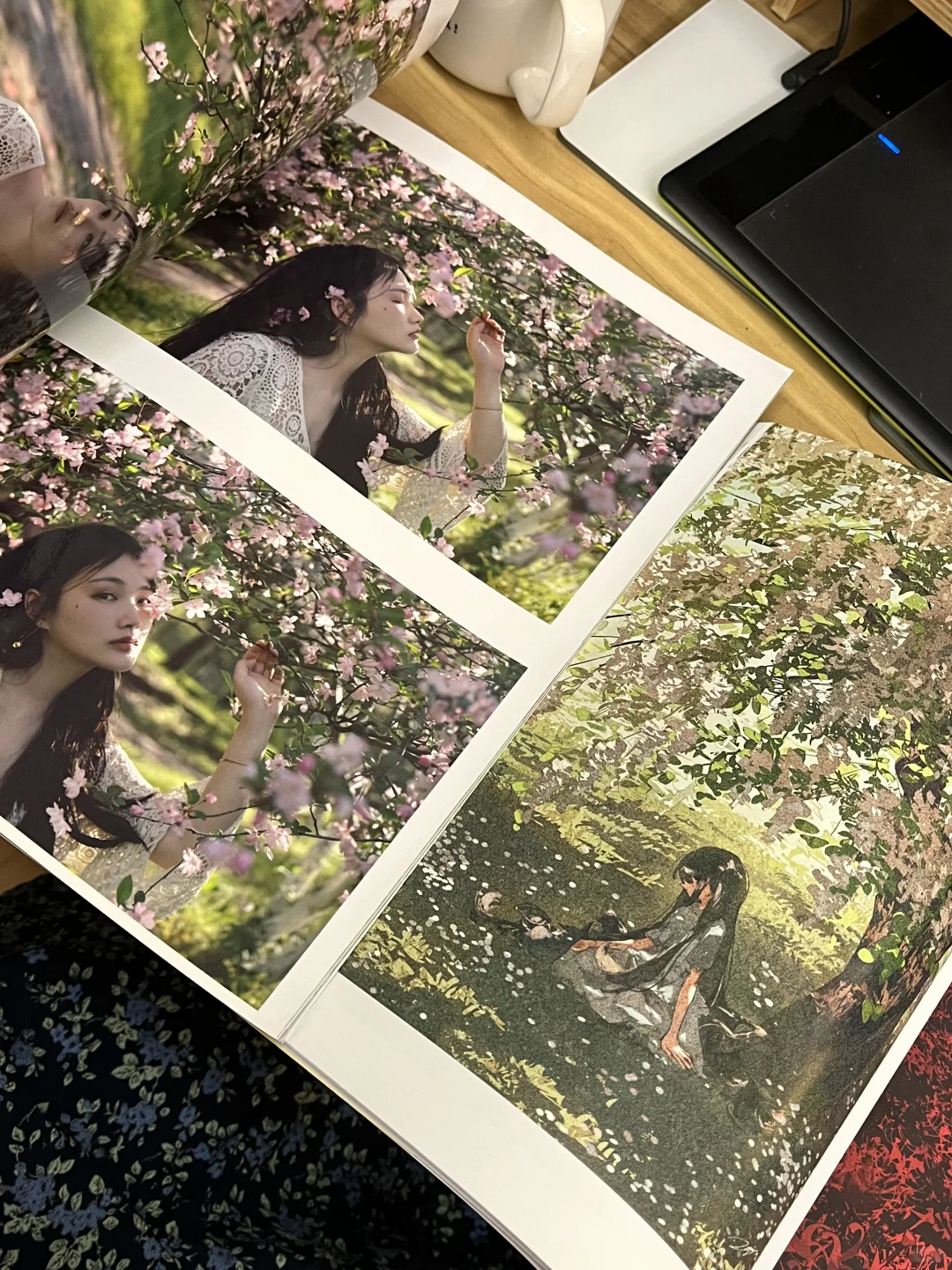 我的照片和我喜欢的画册！！！！