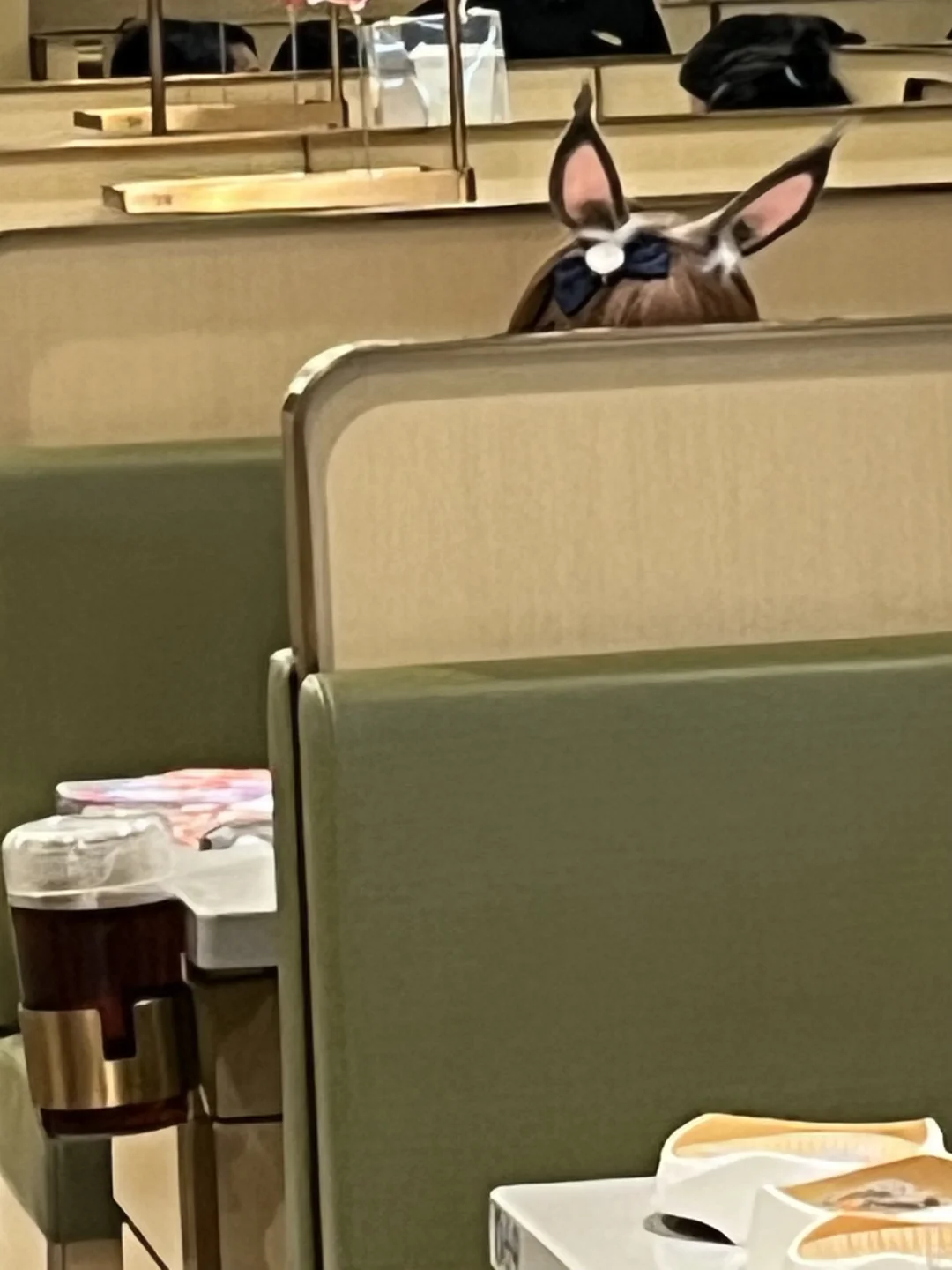 《海底捞惊现罗德岛CEO》