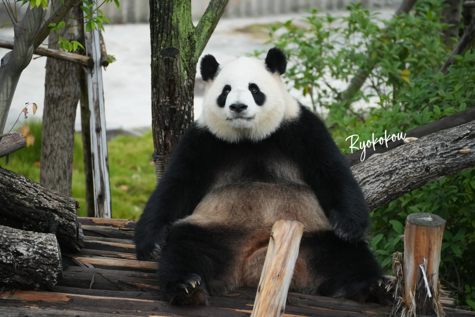 241021 淼淼 你好月巴美☺️