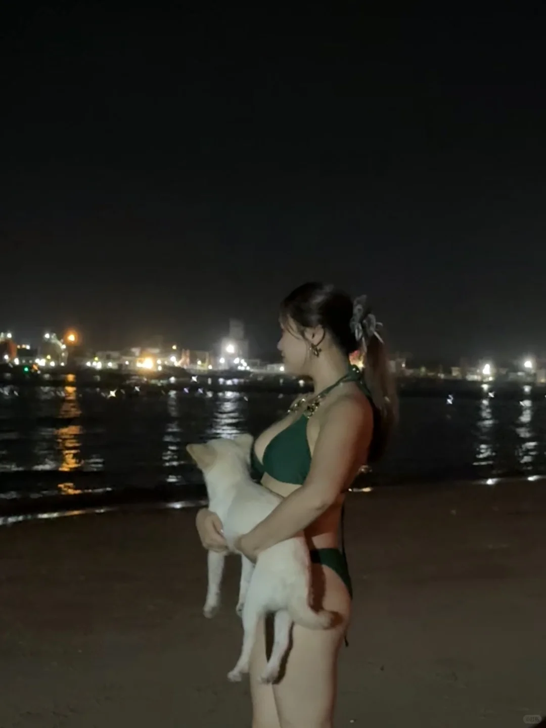 小狗与海我都喜欢🌊