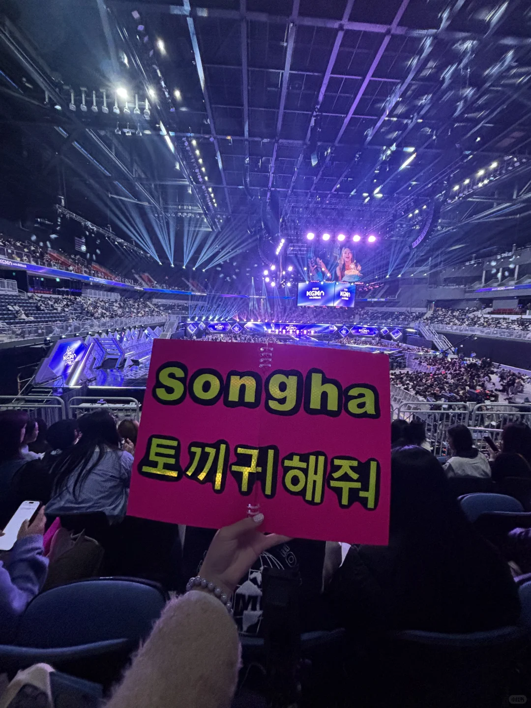 李松河给我抛个媚眼谢谢