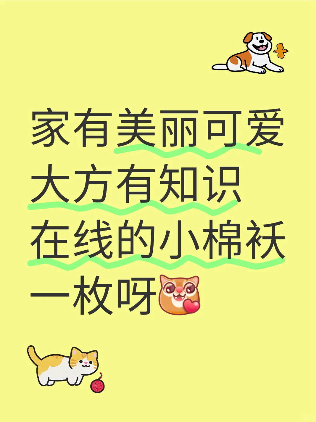 你好，认识一下 🙋‍♀️我家的小美女吧