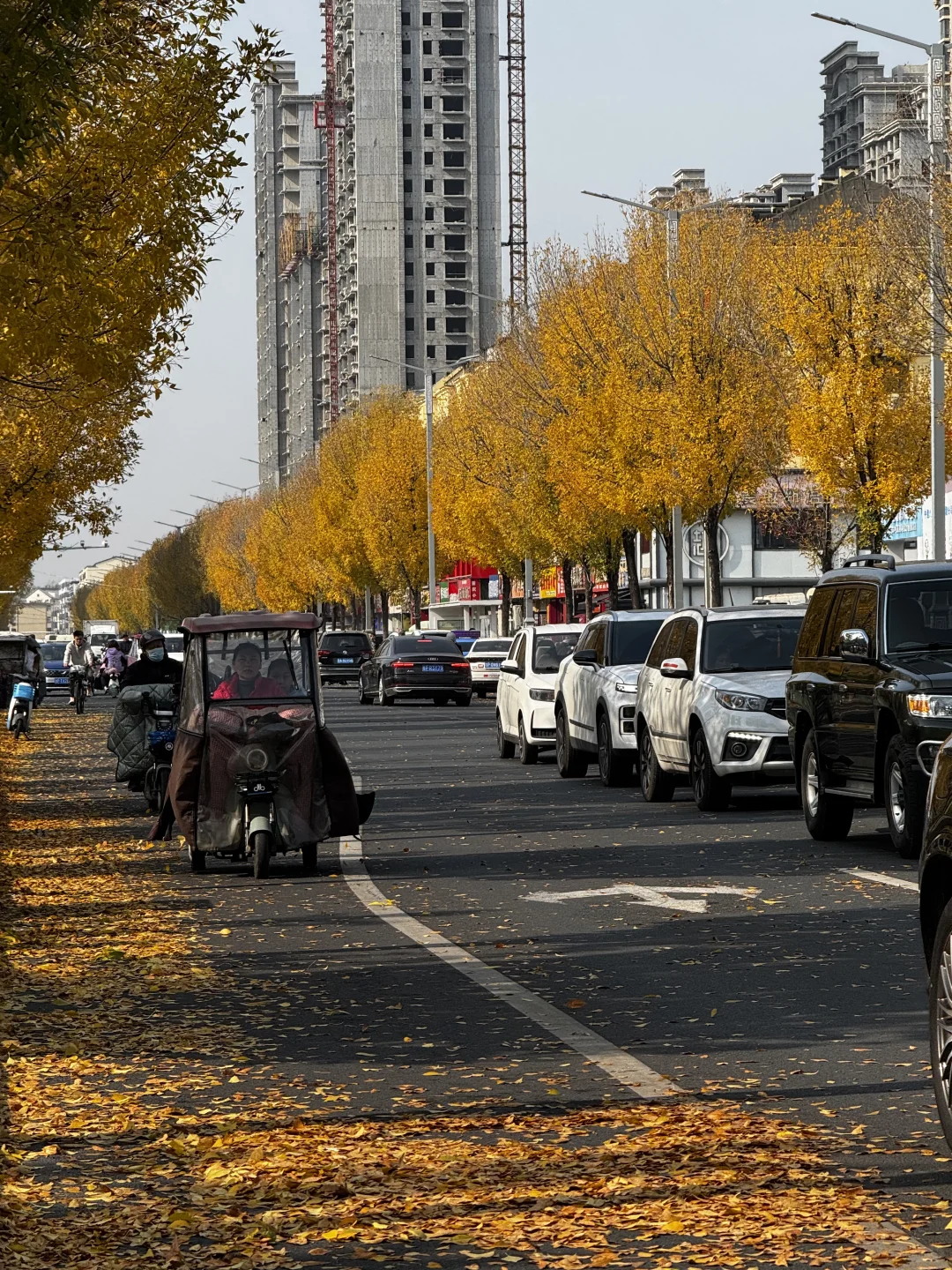打卡聊城秋天最佳观赏地🍂