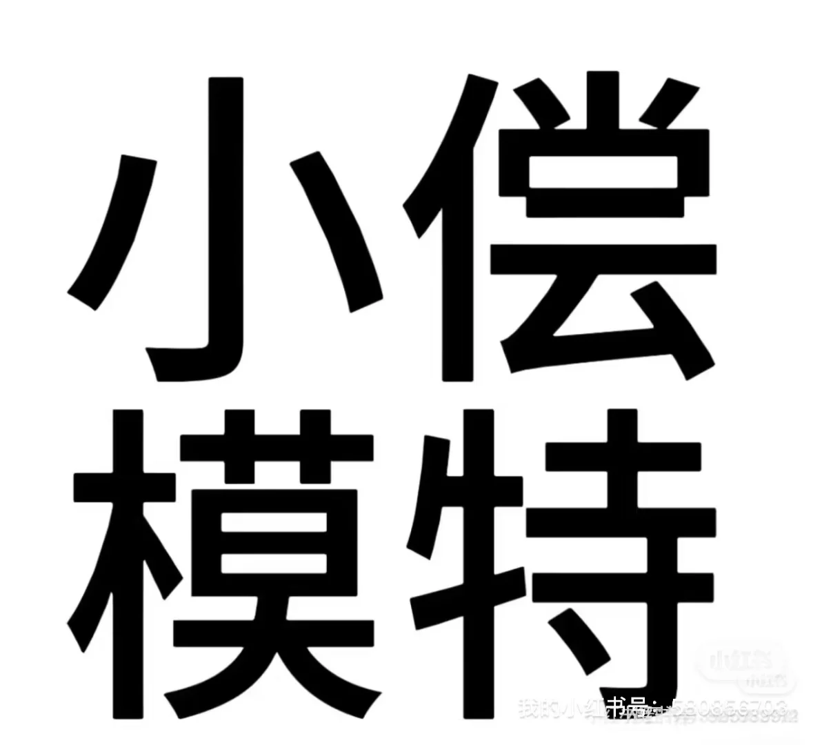 14号10点—下午6:00，小偿模特