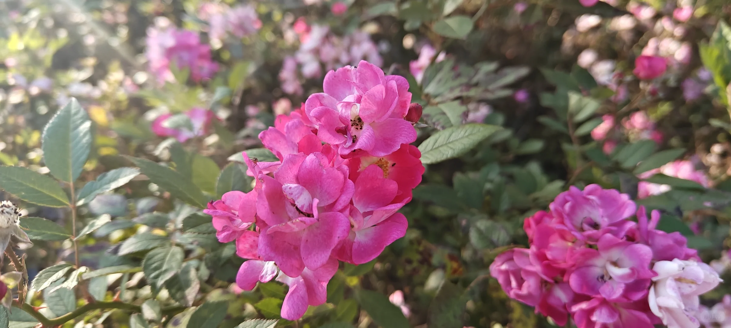 《写给三十岁的自己》