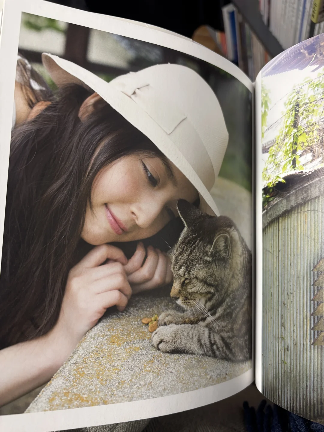 日本淘货之 写真集