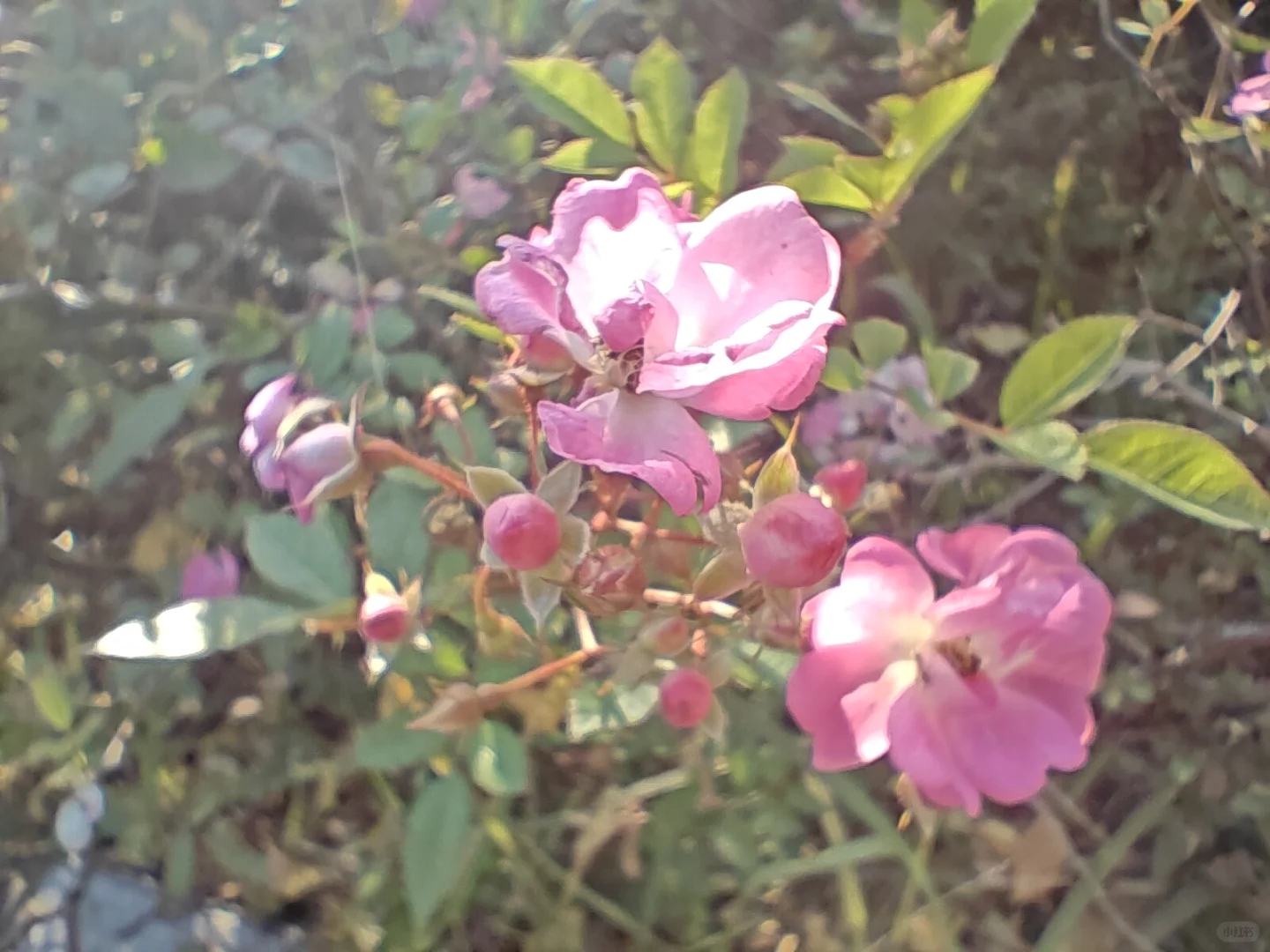 《写给三十岁的自己》