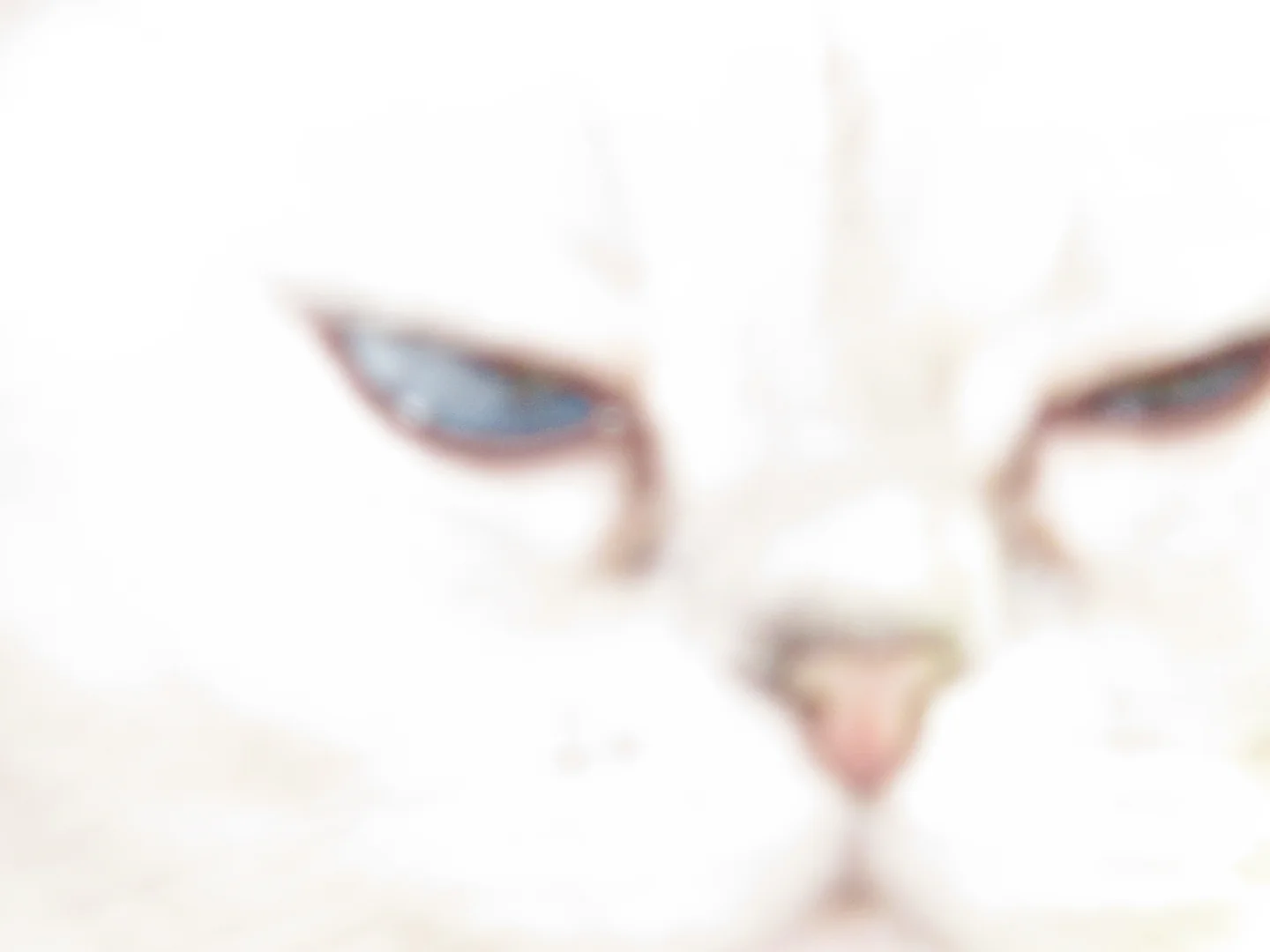 这ccd拍的也太美了吧