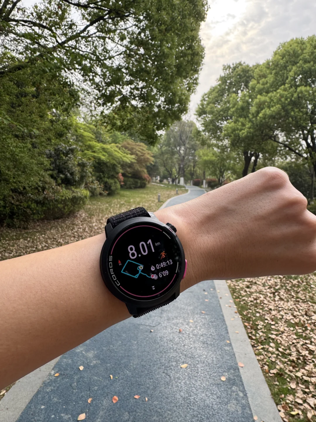 晨跑日记 | 当跑步从坚持变成肌肉记忆