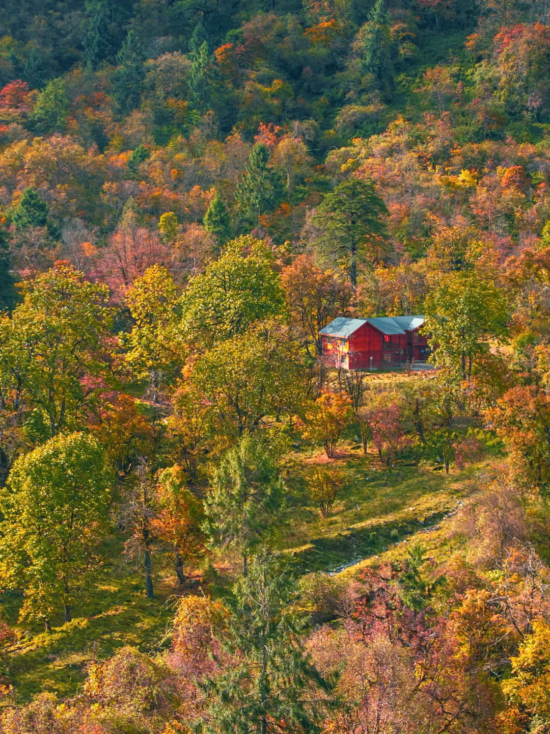 喇叭河秋景正当时🍁交换一张你拍的秋!