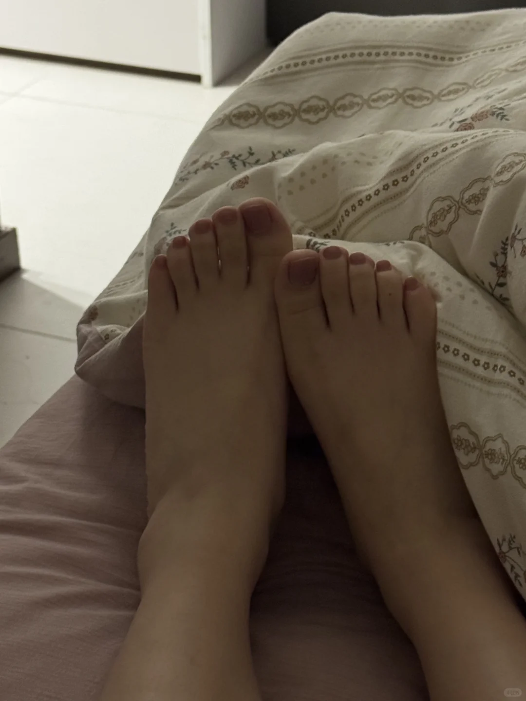 营养均衡的jio jio