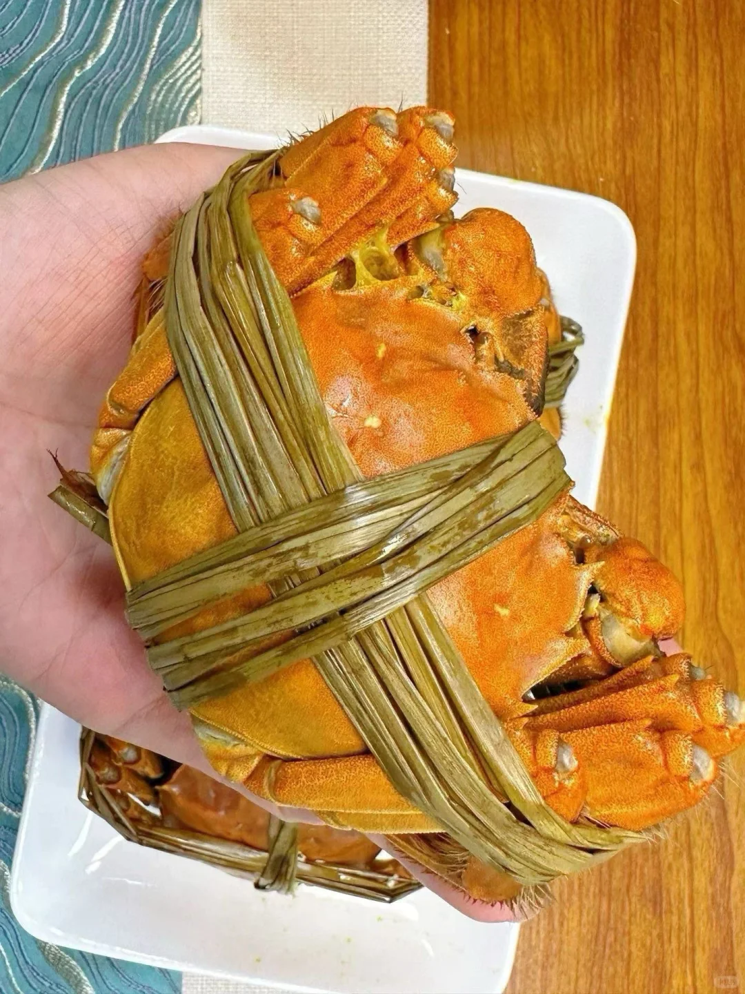 这是什么神仙蟹！巨肥美！