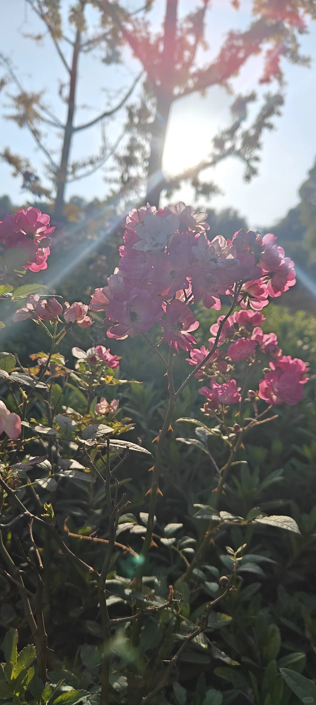 《写给三十岁的自己》