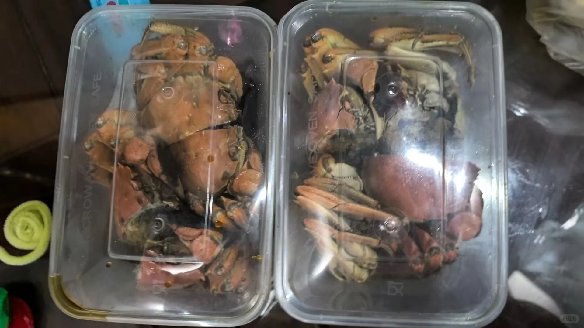 总要来趟这家店！🍃